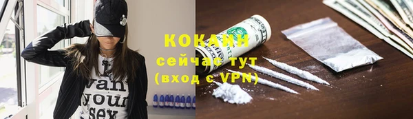 apvp Алексин