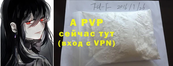 винт Абаза