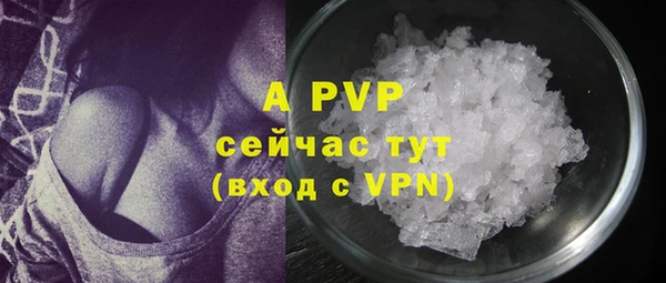 винт Абаза