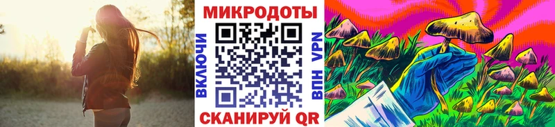 Галлюциногенные грибы Psilocybine cubensis  что такое   Россошь 