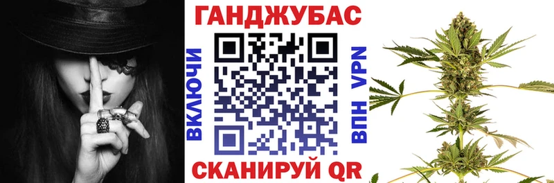закладка  Россошь  Конопля сатива 
